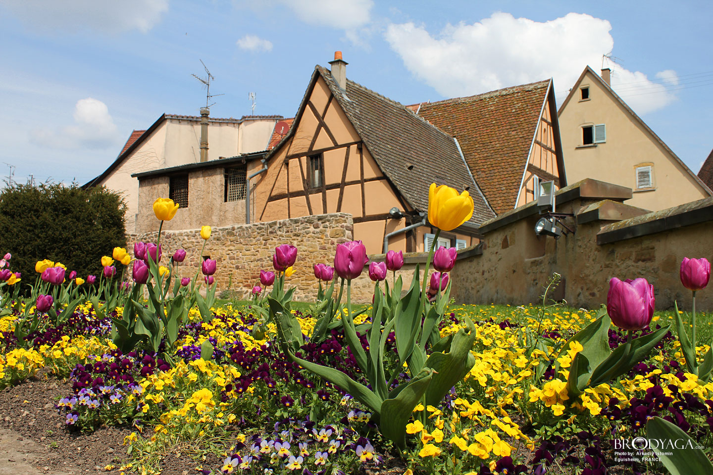Eguisheim